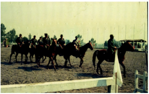 Army Race Horse